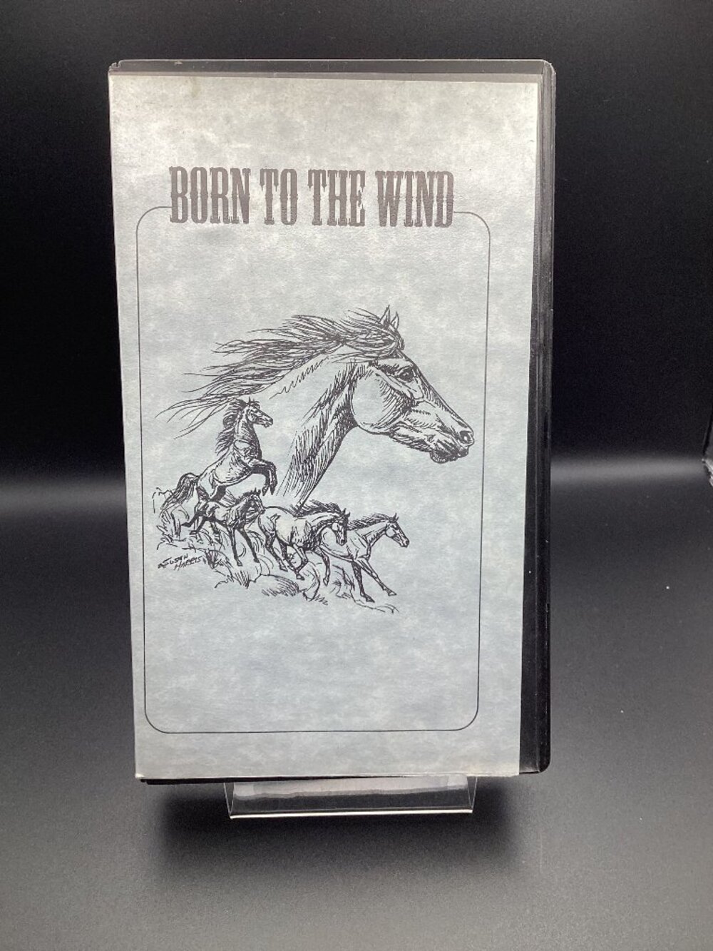 Born to the Wind VHS Wild Horse History Montana Nature Episodes be Wild